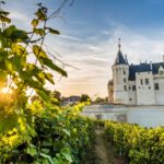 Vu sur le château de Saumur